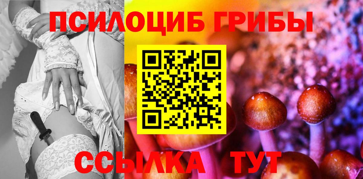 Галлюциногенные грибы MAGIC MUSHROOMS  Вход с VPN  хочу наркоту  Острогожск 